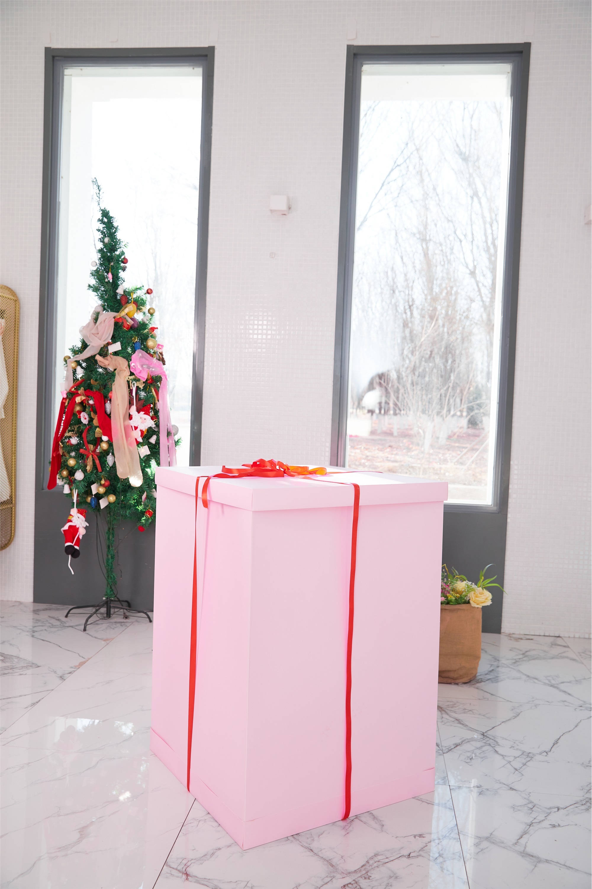 妖精社  2021.01.16 T2101《礼物》苏伟